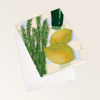 "Freshly Picked" Boxed Set of 6 Cards with Envelopes