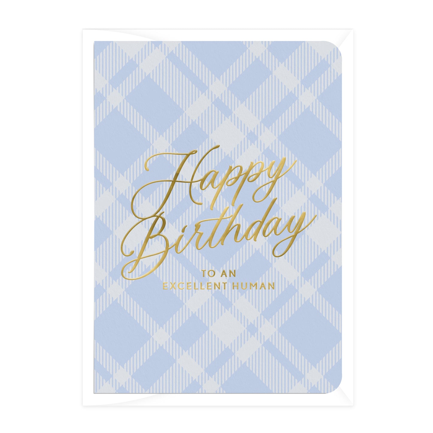 'Happy Birthday to an Excellent Human' Blue Tartan Greeting Card