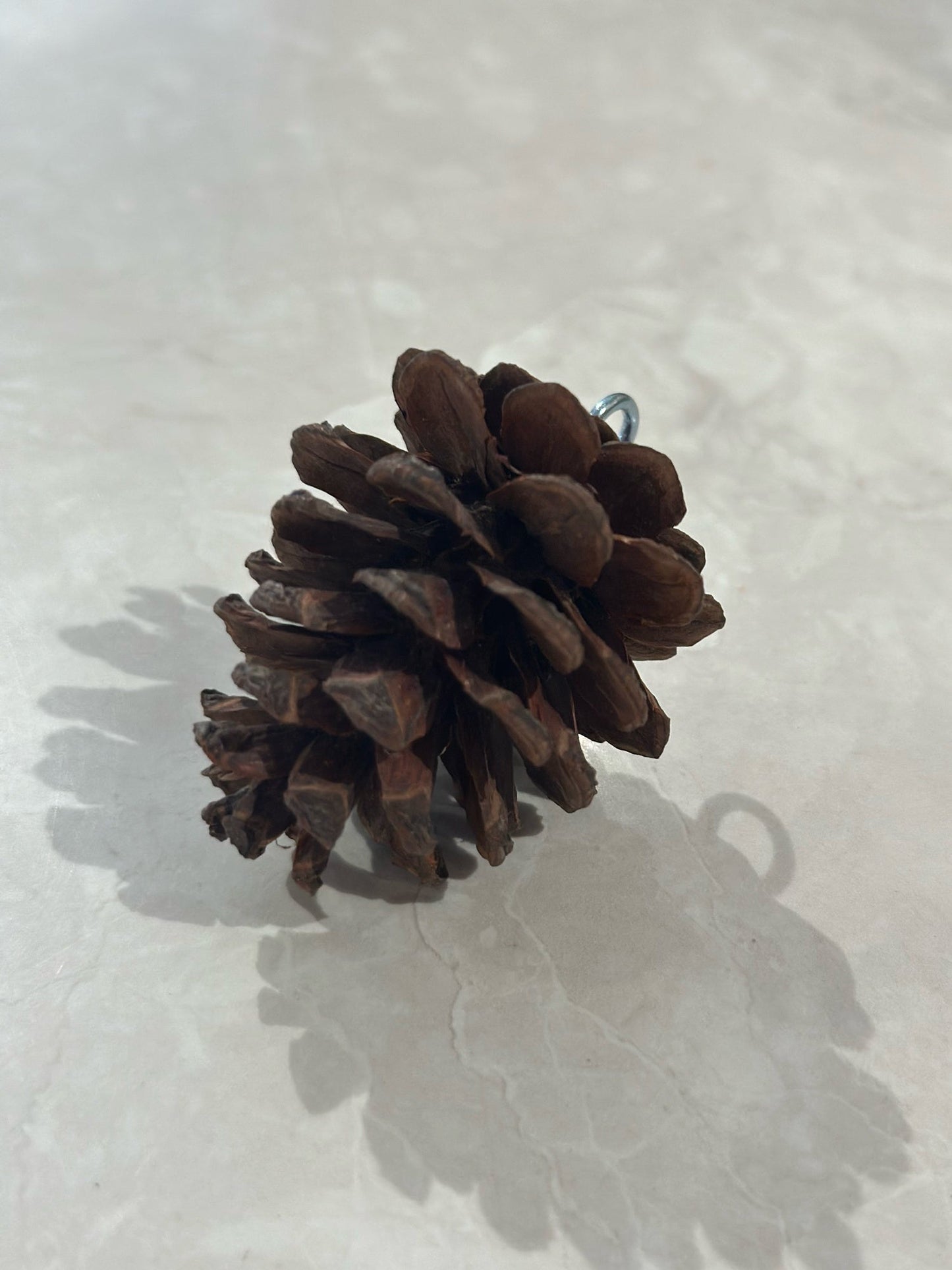 'Pinecone' Gift Embellishment